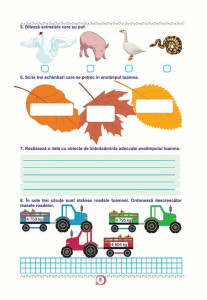 Fișe Interdisciplinare (Activități Integrate) - Clasa a III-a - Img 3