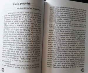 O Lume Minunată (lecturi de vacanță) - Clasa a III-a - Img 4