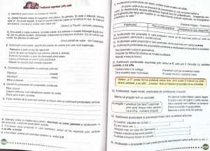 Exerciții de Limba și Literatura Română, Clasa a IV-a - Img 2
