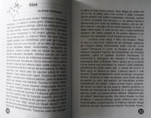 O Lume Minunată (lecturi de vacanță) - Clasa a III-a - Img 5