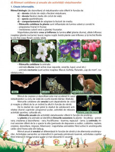 Ştiinţe ale naturii - Caiet de lucru, clasa a IV-a - Img 5