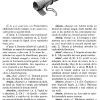 DICTIONARUL UZUAL AL LIMBII ROMANE - Img 3