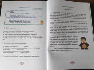 Ortografia și punctuația la clasele primare și gimnaziale - Img 5
