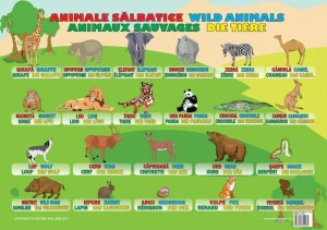 Plansa Animale Sălbatice