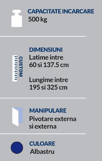 CARACTERISTICI
