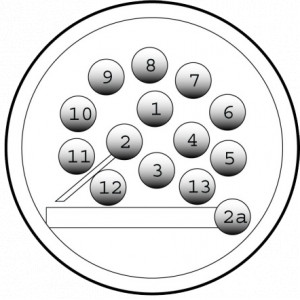 Kit electric cu 13 pini, marca Brink, pentru Honda Accord (CU) Sedan (Berlina), an fabricatie 01.04.2008-prezent