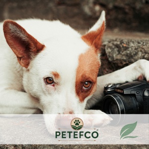 PETEFCO | TRIPLE BITES  | 80% FISCH | 6x100g | Belohnung für den Hund - Img 5