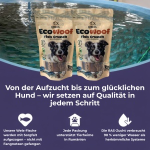 FISH CRUNCH | WELS KARKASSE | 100g | Belohnung für den Hund - Img 6