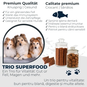 Crispy Bars vom Wels - TRIO | Pur, Kürbiskerne &  Bierhefe | 6x125g | Belohnung für den Hund - Img 4