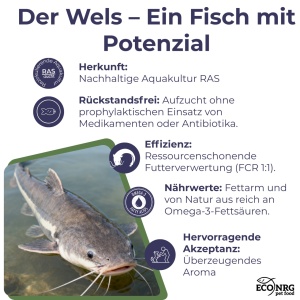 FISH CRUNCH | WELS KARKASSE | 13x100g | Belohnung für den Hund - Img 5