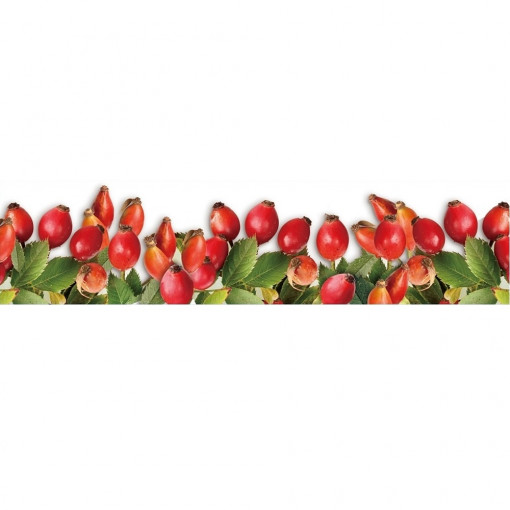 Sticker pentru geam, motive toamna - maciese, 64 x 15 cm