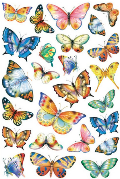 Sticker perete cu scop decorativ - fluturi colorati 2