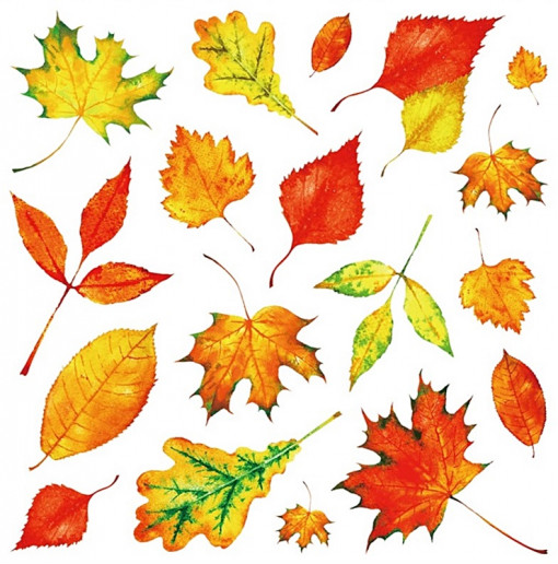 Sticker geam cu frunze colorate de toamna, 30 x 33.5 cm