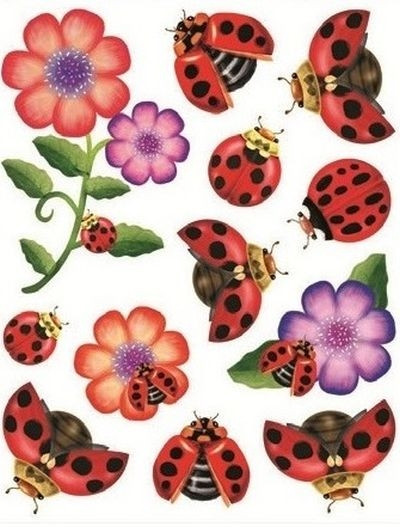 Sticker pentru geam cu flori si buburuze, 30 x 38 cm