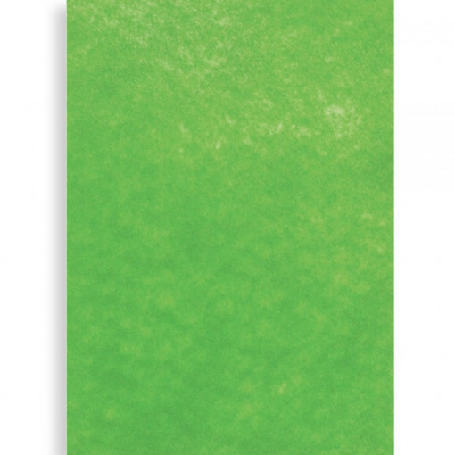 Coala A4 fetru semirigid 1mm grosime - Verde deschis