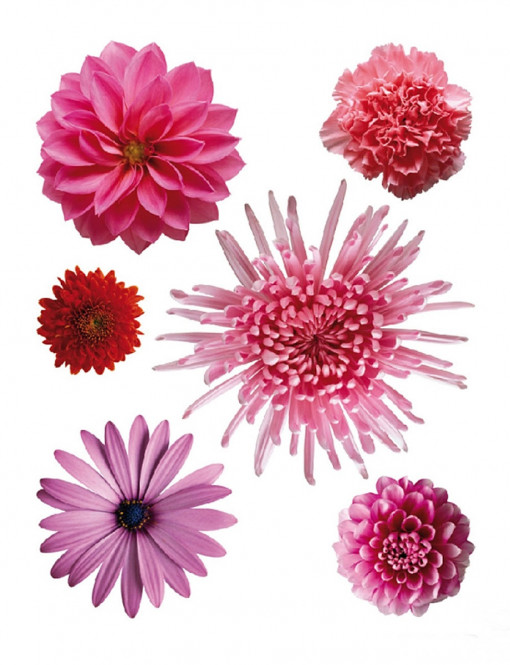 Decor camera - Flori in nuante de roz