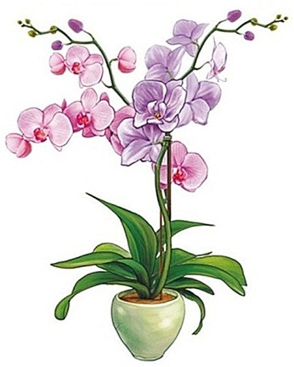 Sticker pentru geam, Orhidee roz in ghiveci, 36 x 27 cm