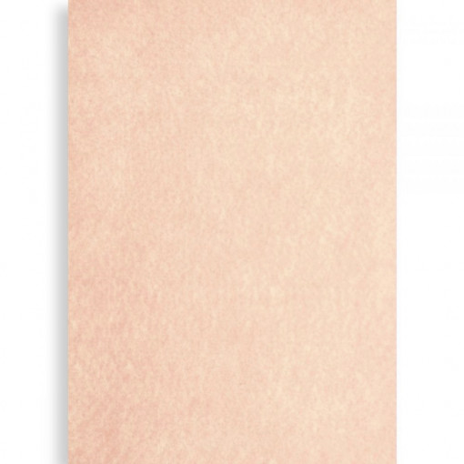 Coala A4 fetru semirigid 1mm grosime - Natur