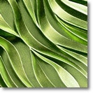 Pigment rub-on Pentart - efect cromat, 0.5 g - Verde dragon