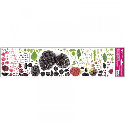 Sticker geam, orizontal - mure 64 x 15 cm