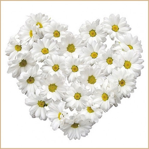 Sticker geam - inima florala margarete albe, 30 x 33.5 cm