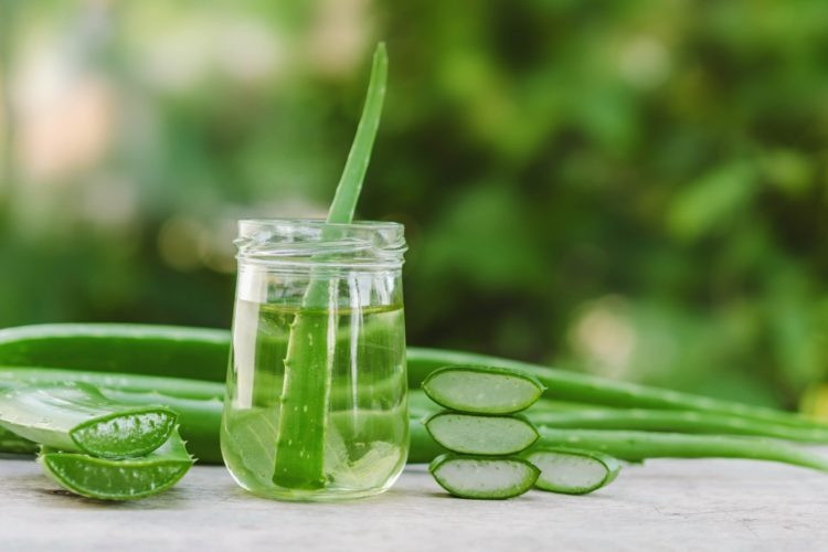 Minunea numită ALOE VERA