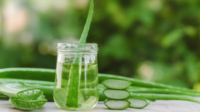 Minunea numită ALOE VERA