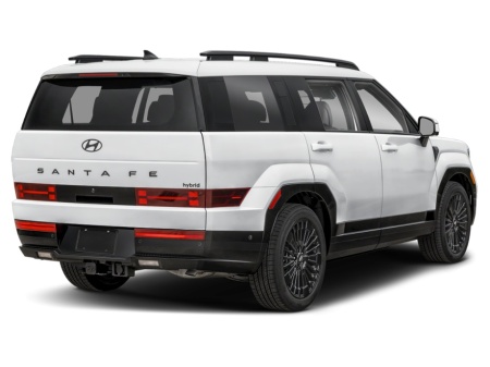 Tavita portbagaj cauciuc Hyundai Santa Fe 2024-2025 - Img 2