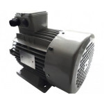 Motoare electrice