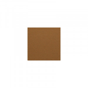 Foaie de KYDEX COYOTE BROWN - 2.36mm grosime - Img 5
