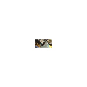 3634000 Menghina cu clicket si falci lungi modelism/hobby - Img 2