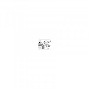Manual ascutirea daltilor, sculelor, daltilor de strunjit, Tormek - Img 5