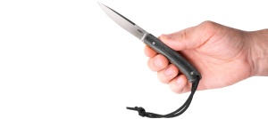 Cutit Biwa Black, CRKT - Img 4