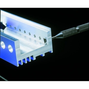 Zencuitor reversibil mediu, Noga - Img 2