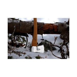 10492 Topor Scout, Helko Werk - Img 5