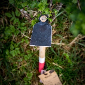 Mini-sapa de gradina „Rosie” XS, Adler Tools - Img 4