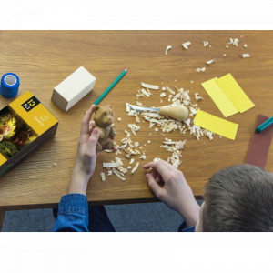 DIY05 - Kit de sculptat urs - Kit complet pentru începători, adulți, adolescenți și copii BeaverCraft - Img 3