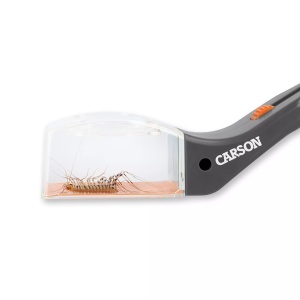 Instrument de prindere a insectelor, portabil cu lupă încorporată, Carson - Img 2