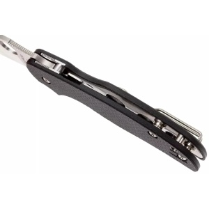 Briceag Sage™ 5 Compression Lock, Spyderco - Img 5