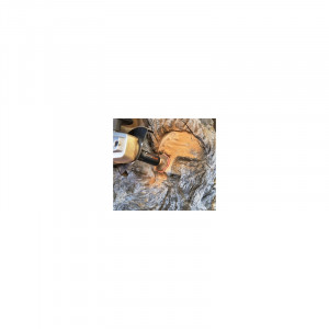 SAN.FG.210.60 Sistem excentric slefuire sculptura lemn Arbortech - Img 3