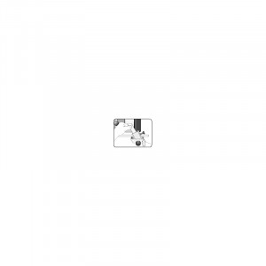 Manual ascutirea daltilor, sculelor, daltilor de strunjit, Tormek - Img 4