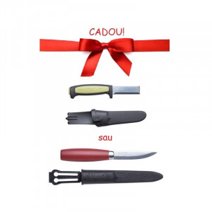 Pachet Tormek T-4 si kit TNT-808 - Img 3