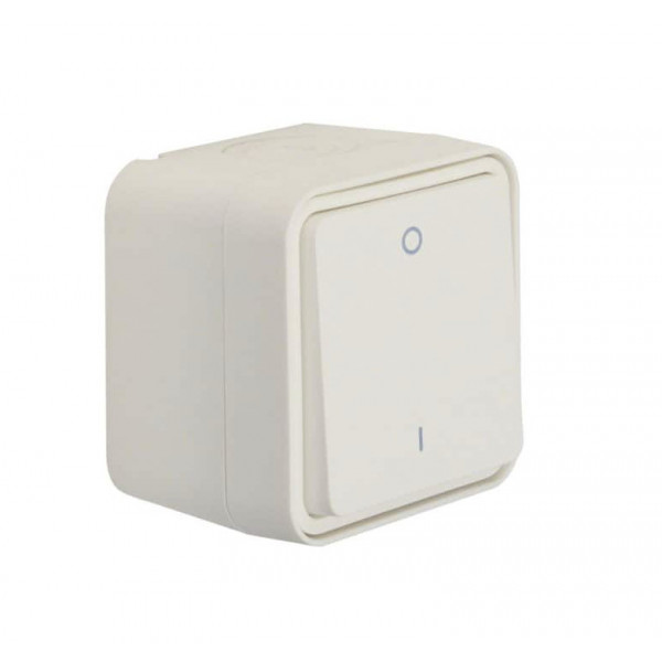 Intrerupator bipolar W1 IP55 30723502 Berker