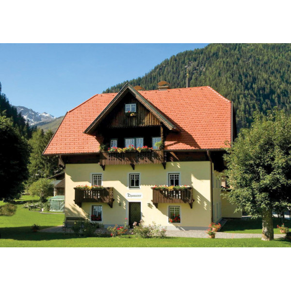 Tigla solzi clasic Sibiu rosu natur - Img 3
