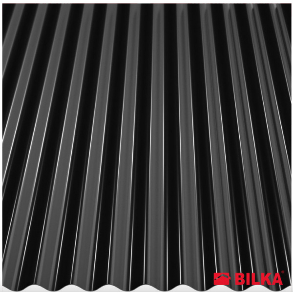 RAL 9005