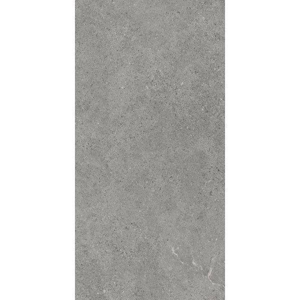 Gresie Authority Gry MAT 60x120 Paradyz - Img 2