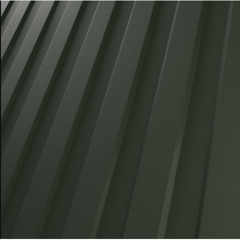 RAL 6020