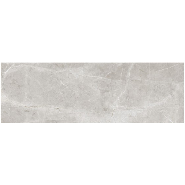 Faianta SILVER GREY 4730 25.5x75.5cm - Img 2