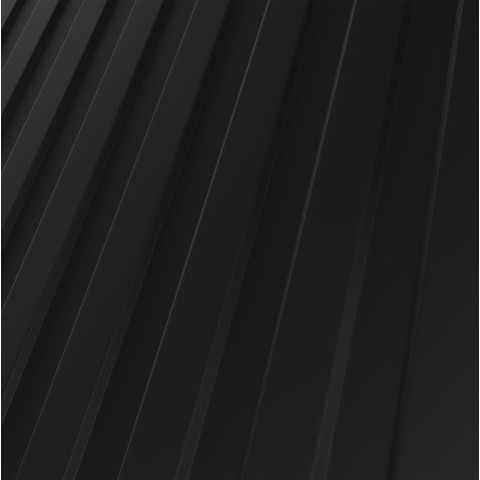 RAL 9005