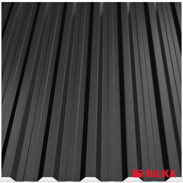 RAL 9005